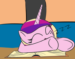 Size: 1200x943 | Tagged: safe, artist:icesticker, princess cadance, g4, book, female, sleeping, solo, zzz