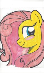 Size: 1024x1687 | Tagged: safe, artist:theartistsora, fluttershy, g4, female, solo, traditional art