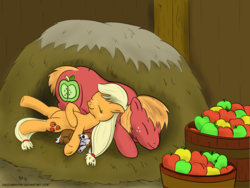 Size: 2400x1800 | Tagged: safe, artist:halflingpony, applejack, big macintosh, winona, earth pony, pony, g4, duo, male, sleeping, stallion