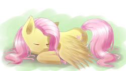 Size: 1920x1080 | Tagged: dead source, safe, artist:joolzanfire, fluttershy, g4, eyes closed, female, prone, sleeping, solo