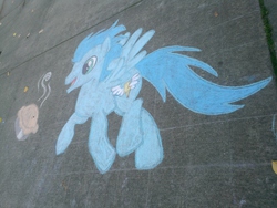 Size: 1200x900 | Tagged: safe, soarin', g4, chalk, chalk drawing, male, old cutie mark, photo, pie, sidewalk, solo, that pony sure does love pies, traditional art, university of washington