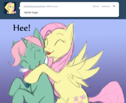 Size: 500x411 | Tagged: safe, artist:kourabiedes, fizzy, fluttershy, ask fizzy, g1, g4, ask, eyes closed, hug, tumblr