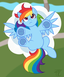 Size: 1020x1231 | Tagged: safe, artist:php92, rainbow dash, g4, female, solo, underhoof