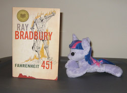 Size: 1006x738 | Tagged: artist needed, safe, twilight sparkle, g4, book, fahrenheit 451, irl, photo, plushie, ray bradbury, this will end in tears