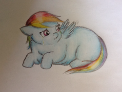 Size: 1024x768 | Tagged: safe, artist:waggytail, rainbow dash, fluffy pony, g4, crying, female, fluffydash, sad, sadbox, solo