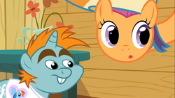 Size: 1366x768 | Tagged: safe, screencap, scootaloo, snips, g4, the mysterious mare do well, duo, long neck, long pony, rainbow wig