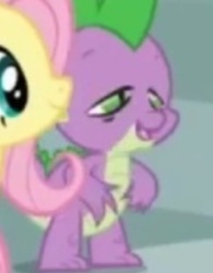 Size: 640x820 | Tagged: safe, screencap, fluttershy, spike, friendship is magic, g4, duo, stoner spike