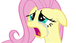 Size: 1280x720 | Tagged: safe, artist:dashy94, fluttershy, pony, g4, hurricane fluttershy, crying, female, fluttercry, sad, simple background, solo, transparent background, vector