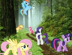 Size: 651x500 | Tagged: safe, applejack, fluttershy, pinkie pie, rainbow dash, rarity, twilight sparkle, g4, irl, photo, ponies in real life, ponies in the forest