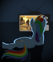 Size: 1012x1185 | Tagged: safe, rainbow dash, pegasus, pony, g4, female, irl, irl horse, irl pony, mare, photo, solo, television, watching tv