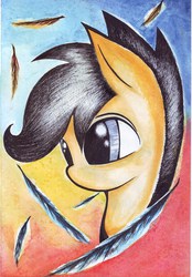 Size: 5866x8444 | Tagged: safe, artist:devotedfan012, scootaloo, g4, absurd resolution, feather, female, solo, traditional art