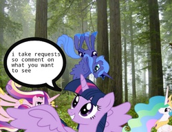 Size: 651x500 | Tagged: safe, princess cadance, princess celestia, princess luna, twilight sparkle, alicorn, pony, g4, 1000 hours in ms paint, alicorn tetrarchy, derp, female, forest, mare, ms paint, ponies in the forest, requests, twilight sparkle (alicorn)