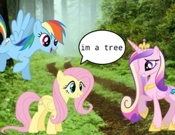 Size: 651x500 | Tagged: artist needed, safe, fluttershy, princess cadance, rainbow dash, g4, fluttertree, ponies in the forest, tree