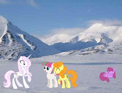 Size: 651x500 | Tagged: safe, berry punch, berryshine, blossomforth, carrot top, fleur-de-lis, golden harvest, g4, arctic tundra, irl, photo, ponies in places, ponies in real life, ponies in the forest, snow