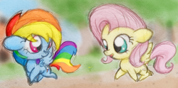 Size: 2560x1272 | Tagged: safe, artist:soortes, fluttershy, rainbow dash, g4, chibi