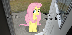 Size: 900x440 | Tagged: safe, edit, fluttershy, pegasus, pony, g4, bronybait, female, frown, image macro, irl, mare, nervous, photo, ponies in real life, porch, solo, text
