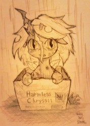 Size: 731x1024 | Tagged: safe, artist:doubt, queen chrysalis, changeling, changeling queen, g4, box, changeling in a box, cute, cutealis, female, filly, harmless-chryssii, pony in a box, solo, traditional art