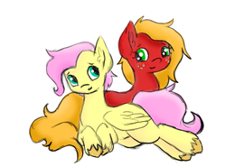 Size: 739x547 | Tagged: safe, artist:bunnycat, big macintosh, fluttershy, g4, butterscotch, female, macareina, male, rule 63, ship:butterreina, ship:fluttermac, shipping, straight, unshorn fetlocks