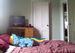 Size: 1432x1010 | Tagged: safe, artist:alerkina2, rainbow dash, fanfic:my little dashie, g4, bed, cute, dashabetes, irl, photo, ponies in real life, sleeping, solo