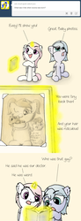 Size: 640x1748 | Tagged: safe, artist:arvaus, doctor whooves, princess celestia, princess luna, time turner, pony, ask woona and tia, g4, ask, baby, baby pony, cewestia, cute, doctor who, don't blink, filly, implied weeping angel, magic, photo, photo album, pigtails, the doctor, time travel, tumblr, woona