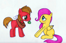 Size: 1576x1043 | Tagged: safe, artist:chaosthedawn, big macintosh, fluttershy, earth pony, pony, g4, male, ship:fluttermac, shipping, stallion, straight, traditional art, younger