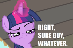 Size: 1091x718 | Tagged: safe, twilight sparkle, alicorn, pony, g4, simple ways, female, image macro, magic, meme, reaction image, solo, twilight sparkle (alicorn), unamused