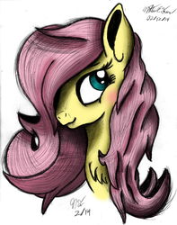 Size: 1671x2123 | Tagged: safe, artist:ancientowl, fluttershy, g4, female, portrait, solo, traditional art