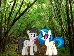 Size: 651x500 | Tagged: safe, dj pon-3, octavia melody, vinyl scratch, g4, irl, photo, ponies in real life, ponies in the forest, shipping, tree