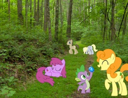 Size: 651x500 | Tagged: safe, berry punch, berryshine, carrot top, derpy hooves, doctor whooves, golden harvest, spike, time turner, pegasus, pony, g4, female, gem, irl, mare, photo, ponies in real life, ponies in the forest, sleeping, tree