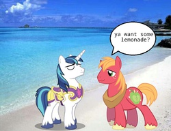 Size: 651x500 | Tagged: safe, big macintosh, shining armor, earth pony, pony, g4, beach, lemonade, male, ocean, ponies in places, ponies in the forest, sand, stallion
