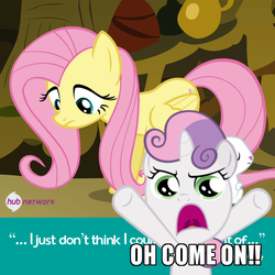 Size: 550x550 | Tagged: safe, angel bunny, fluttershy, sweetie belle, filli vanilli, g4, official, caption, hub logo, hubble, image macro, meme, oh come on