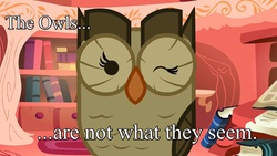 Size: 1280x720 | Tagged: safe, owlowiscious, bird, owl, g4, caption, image macro, male, meme, quote, solo, text, twin peaks