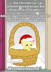 Size: 423x598 | Tagged: safe, fluttershy, g4, bronybait, christmas, female, filly, meme, snow, snowfall, solo, text, what do