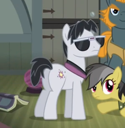 Size: 481x490 | Tagged: safe, screencap, daring do, rogue (g4), withers, earth pony, pony, daring don't, g4, butt, cropped, female, henchmen, male, mare, plot, solo focus, stallion