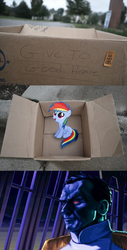 Size: 761x1499 | Tagged: safe, rainbow dash, chiss, pegasus, pony, g4, dashie meme, evil people finding dash meme, exploitable meme, grand admiral thrawn, meme, mitth'raw'nuruodo, star wars, star wars legends, star wars: tie fighter, the galactic empire