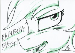 Size: 3504x2484 | Tagged: safe, artist:whitepone, rainbow dash, g4, female, solo, traditional art