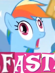 Size: 287x383 | Tagged: safe, rainbow dash, g4, my little pony: friendship is magic, rainbow falls, derp, expand dong, exploitable meme, faic, fast, female, meme, solo