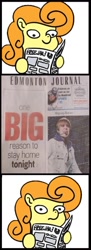 Size: 472x1299 | Tagged: safe, carrot top, golden harvest, earth pony, pony, derpibooru, g4, exploitable meme, female, justin bieber, juxtaposition, juxtaposition win, mare, meme, meta, newspaper, newspaper meme