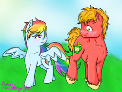 Size: 1024x778 | Tagged: safe, artist:tomcolt15, big macintosh, rainbow dash, earth pony, pony, g4, male, ship:rainbowmac, stallion, straight