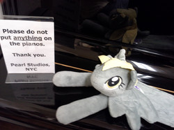 Size: 2560x1920 | Tagged: safe, derpy hooves, pegasus, pony, g4, bronies nyc, female, first world anarchist, mare, maverick, merchandise, musical instrument, piano, rebel, screw the rules
