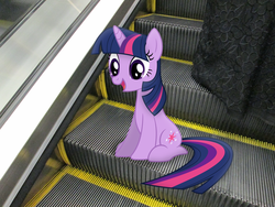 Size: 4608x3456 | Tagged: safe, artist:missbeigepony, twilight sparkle, pony, unicorn, g4, escalator, female, irl, mare, photo, ponies in real life, sitting, solo, unicorn twilight