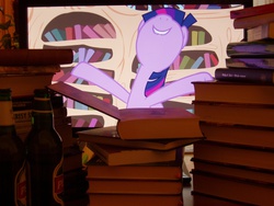 Size: 1280x960 | Tagged: safe, twilight sparkle, alicorn, pony, g4, /mlp/, 2014, 4chan, beer, book, computer, female, mare, otaku date, photo, that pony sure does love books, twilight sparkle (alicorn), waifu dinner