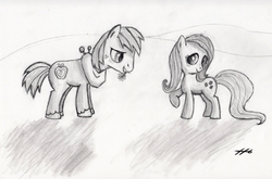 Size: 3145x2074 | Tagged: safe, artist:septilsix, big macintosh, fluttershy, earth pony, pony, g4, male, monochrome, ship:fluttermac, shipping, sketch, stallion, straight, traditional art