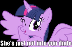 Size: 800x530 | Tagged: safe, twilight sparkle, alicorn, pony, g4, female, image macro, mare, meme, solo, twilight sparkle (alicorn)