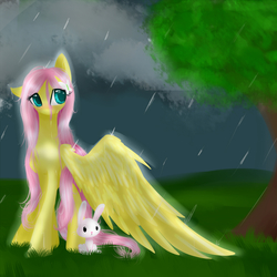 Size: 2800x2800 | Tagged: safe, artist:alicjaspring, angel bunny, fluttershy, g4, rain, wing umbrella