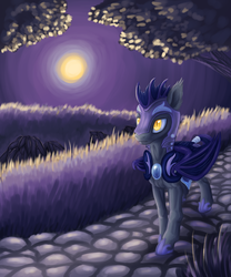 Size: 2557x3077 | Tagged: safe, artist:wolframclaws, g4, male, moon, night, night guard, royal guard, solo