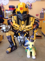 Size: 1536x2048 | Tagged: safe, fluttershy, g4, build-a-bear, bumblebee (transformers), cosplay, transformers