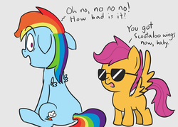 Size: 980x700 | Tagged: safe, artist:spicyhamsandwich, rainbow dash, scootaloo, g4, body part swap, sunglasses, swap, wing swap