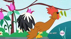 Size: 1016x565 | Tagged: safe, screencap, bird, chicken, filli vanilli, g4, ambiguous gender, animal, crowing, hub logo, rooster, solo