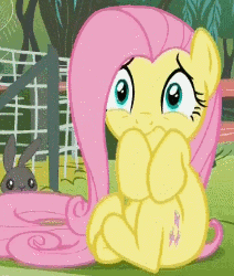 Size: 212x250 | Tagged: safe, edit, screencap, fluttershy, pony, filli vanilli, g4, animated, cowering, crying, cute, female, loop, scared, shaking, shyabetes, solo